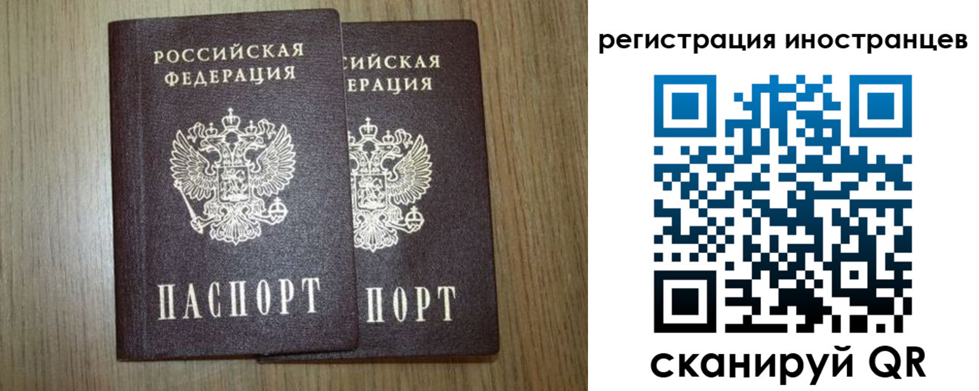 прописка для школы в Ржеве